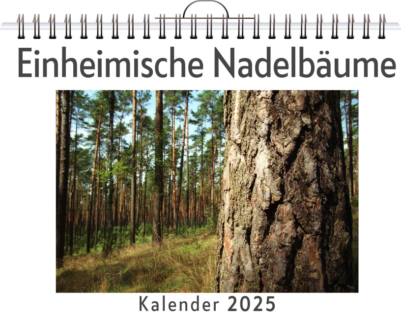 Einheimische Nadelbäume - Leon Frank