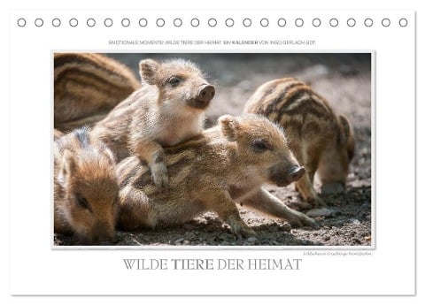 Emotionale Momente: Wilde Tiere der Heimat. (Tischkalender 2025 DIN A5 quer), CALVENDO Monatskalender - Ingo Gerlach GDT