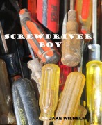 Cover-Bild zum Titel 'Screwdriver Boy' von 'Jake Wilhelm'