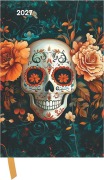 Cover-Bild zum Titel 'Skull 2027' von ''