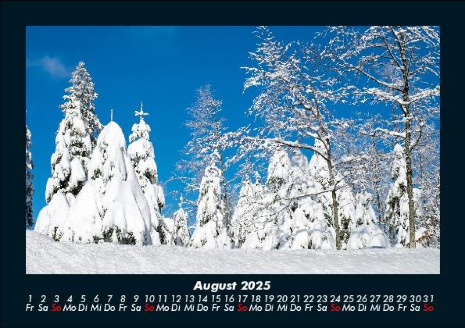 InsideView 12