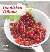 Cover-Bild zum Titel 'Landleben Träume' von ''