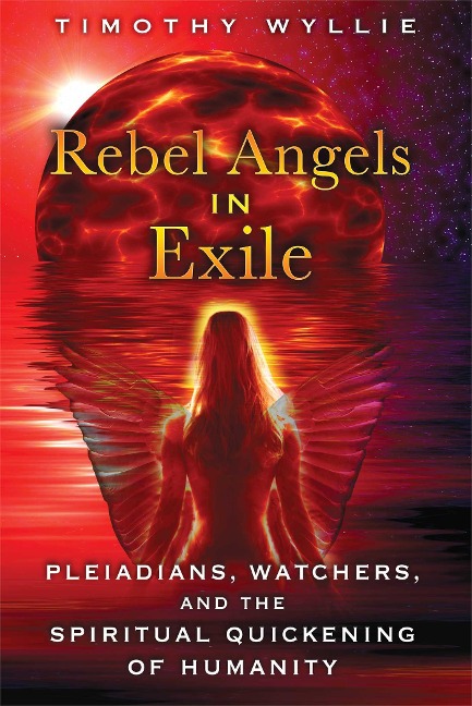 Rebel Angels in Exile - Timothy Wyllie
