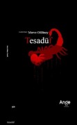 Cover-Bild zum Titel 'Tesadüf' von 'Merve Gülünay'