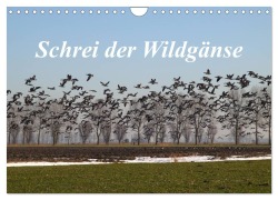 Schrei der Wildgänse (Wandkalender 2026 DIN A4 quer), CALVENDO Monatskalender - Rolf Pötsch