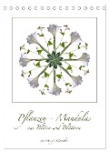 Pflanzen - Mandalas aus Blüten und Blättern (Tischkalender 2025 DIN A5 hoch), CALVENDO Monatskalender - Margit Quendler