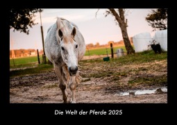 Cover-Bild zum Titel 'Die Welt der Pferde 2025 Fotokalender DIN A3' von 'Tobias Becker'