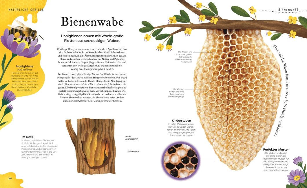 InsideView 7