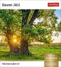 Bäume Postkartenkalender 2025 - Wochenkalender mit 53 Postkarten - 