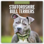 Staffordshire Bull Terriers - Staffordshire Bullterrier 2026 - 16-Monatskalender - Robin Red