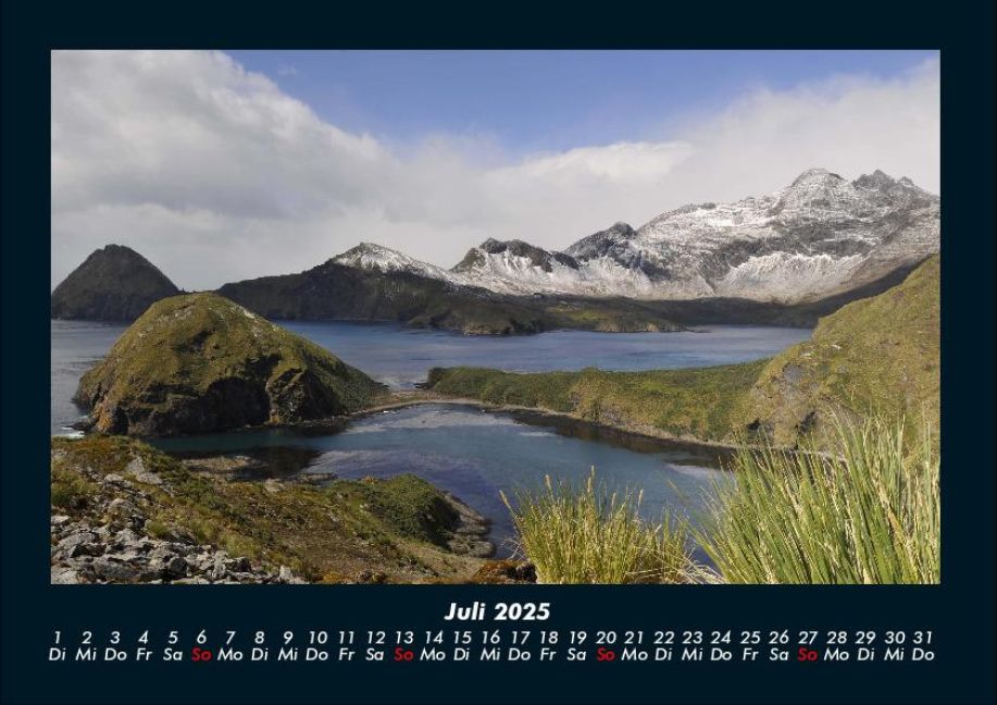 InsideView 11