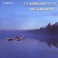 Cover-Bild zum Titel 'Sibelius-Edition vol. 3:Werke f.Gesang u.Orchester' von 'Järvi/Juntunen/Häggander'