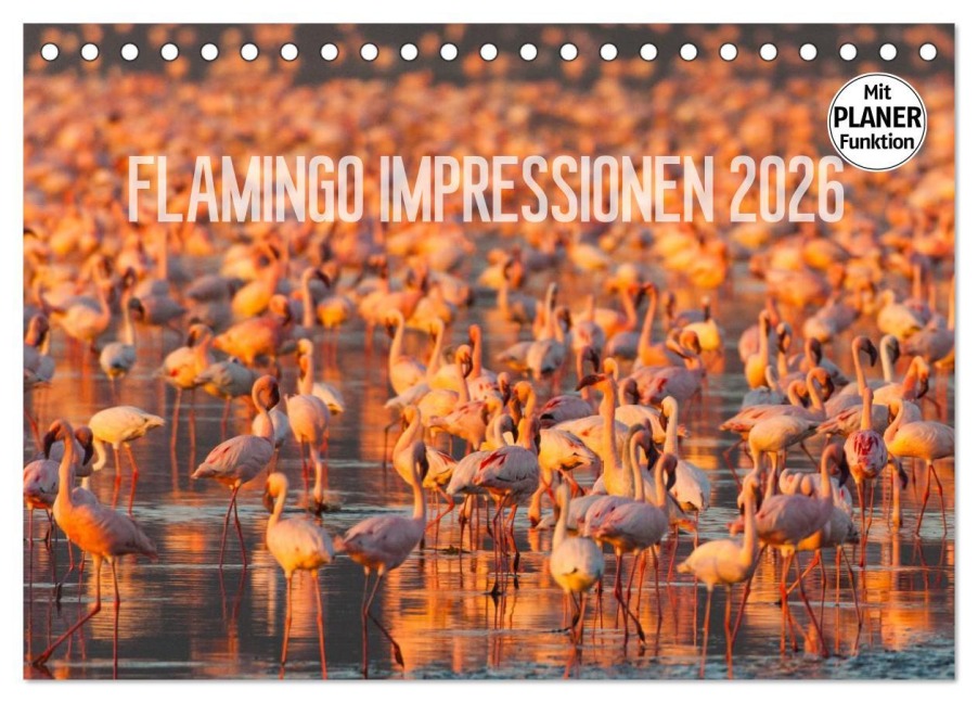 Flamingo Impressionen 2026 (Tischkalender 2026 DIN A5 quer), CALVENDO Monatskalender - Ingo Gerlach