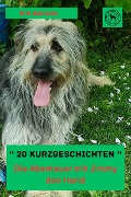 Cover-Bild zum Titel 'Die Abenteuer mit Jimmy den Hund' von 'Willi Meinecke'