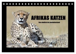 Cover-Bild zum Titel 'Afrikas Katzen (Tischkalender 2026 DIN A5 quer), CALVENDO Monatskalender' von 'Angelika Stern'