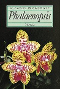 Phalaenopsis - Olaf Gruß, Manfred Wolff