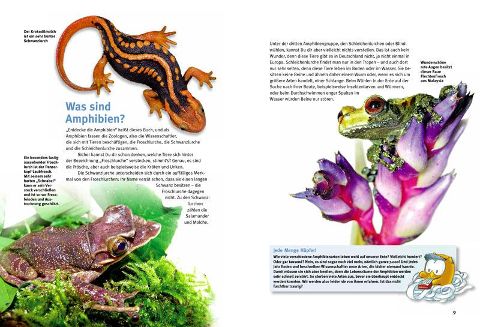 InsideView 4