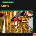 Cover-Bild zum Titel 'Lups' von 'Manfred Kyber'