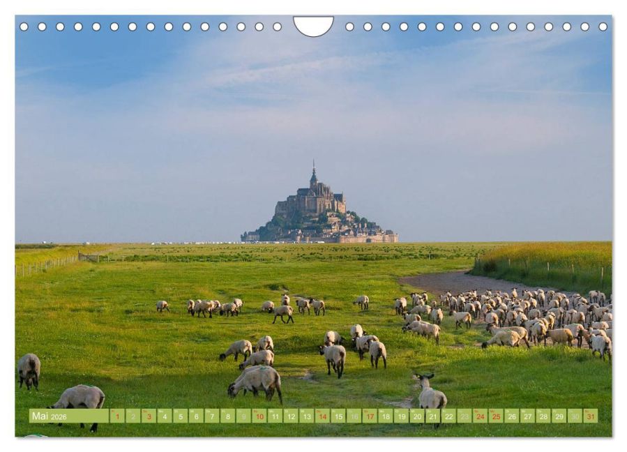 InsideView 10