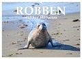 Robben und See-Elefanten (Wandkalender 2025 DIN A2 quer), CALVENDO Monatskalender - Robert Styppa
