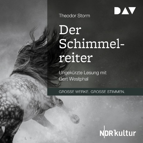 Der Schimmelreiter - Theodor Storm