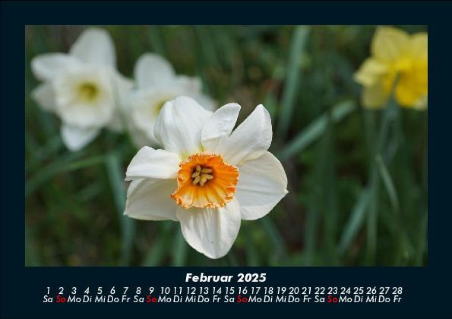 InsideView 6
