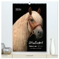 StudioArt Pferderassen im Porträt (hochwertiger Premium Wandkalender 2024 DIN A2 hoch), Kunstdruck in Hochglanz - Sabine Heüveldop