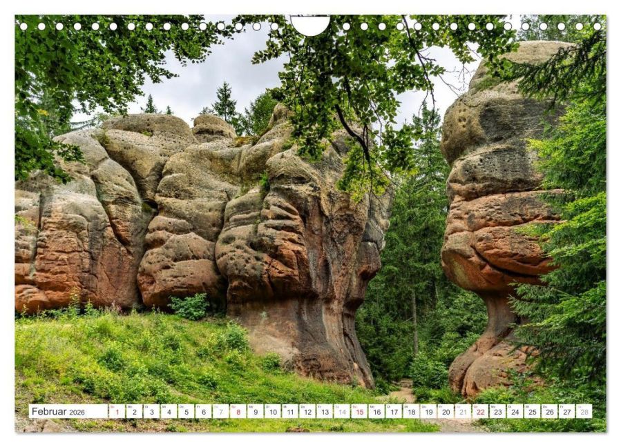 InsideView 7