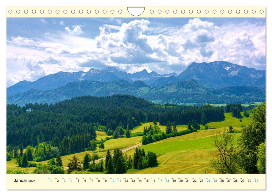 InsideView 6