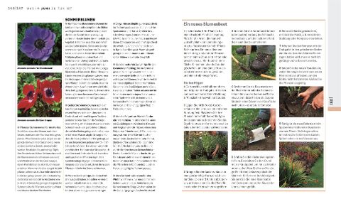 InsideView 6