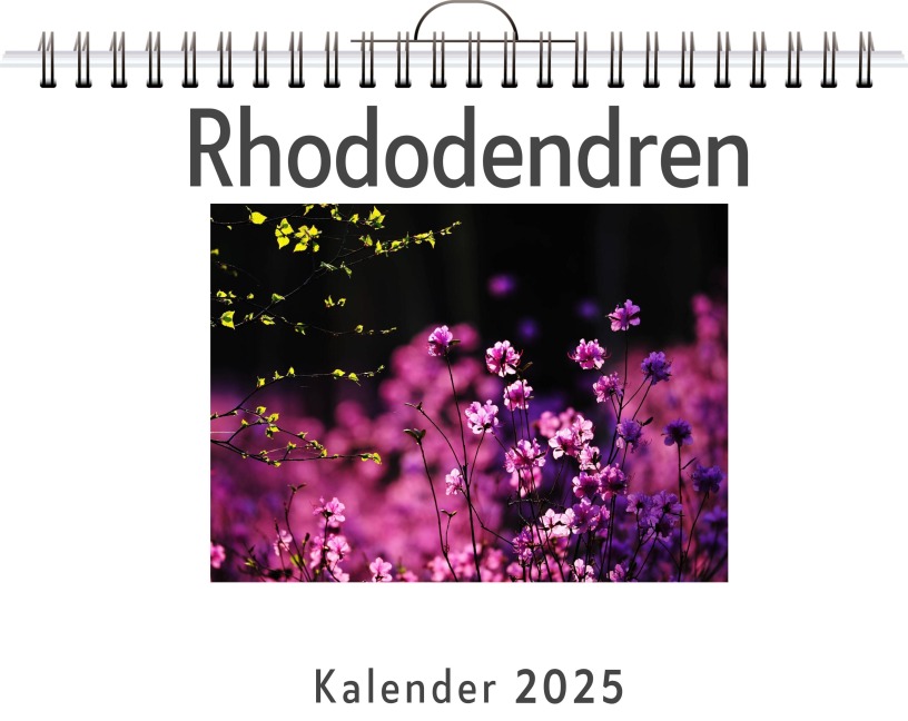 Rhododendren - (Wandkalender 2025, Kalender DIN A4 quer, Monatskalender im Querformat mit Kalendarium, das perfekte Geschenk) - Elias Frank