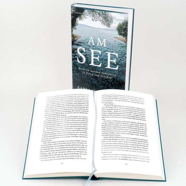 InsideView 5