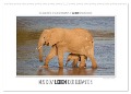 Emotionale Momente: Aus dem Leben der Elefanten. (Wandkalender 2024 DIN A2 quer), CALVENDO Monatskalender - Ingo Gerlach GDT