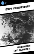 Cover-Bild zum Titel 'Aus dem Leben eines Taugenichts' von 'Joseph Von Eichendorff'