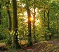 Cover-Bild zum Titel 'Wald Kalender 2027' von 'Ackermann Kunstverlag GmbH'