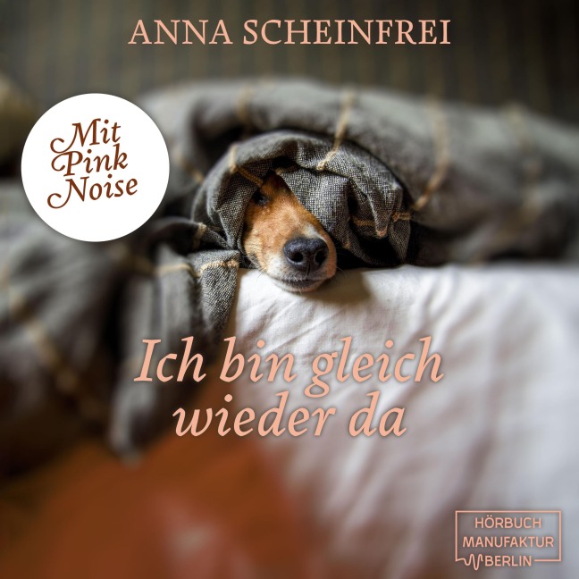 Ich bin gleich wieder da - Anna Scheinfrei