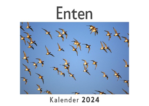 Enten (Wandkalender 2024, Kalender DIN A4 quer, Monatskalender im Querformat mit Kalendarium, Das perfekte Geschenk) - Anna Müller