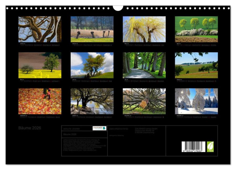 InsideView 5