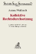 Kollektive Rechtsdurchsetzung - 