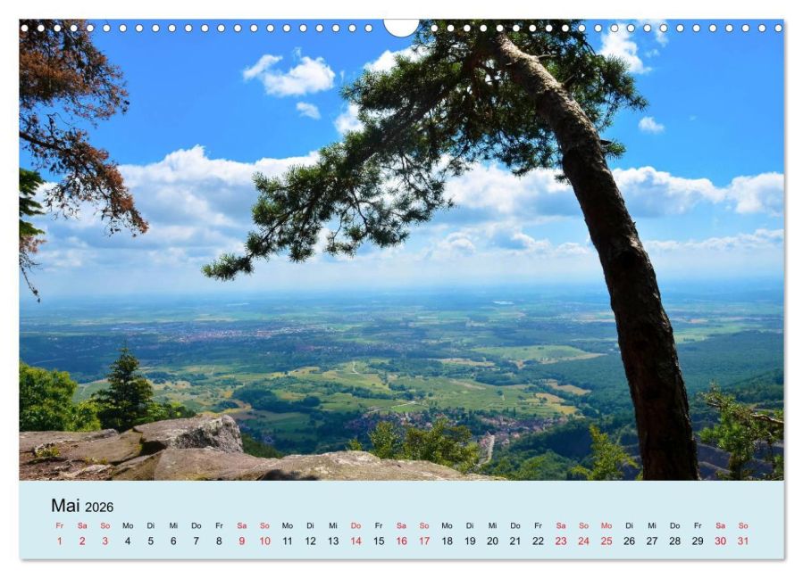 InsideView 10