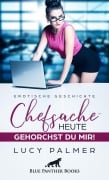 Cover-Bild zum Titel 'Chefsache / Heute gehorchst du mir! | Erotische Geschichte' von 'Lucy Palmer'