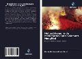 Cover-Bild zum Titel 'Het sublieme in de beeldspraak van Salomo's Hooglied' von 'Halimah Hannah Nambusi'