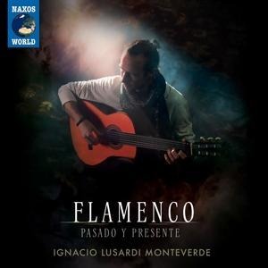Flamenco-Pasado y Presente - Ignacio Lusardi Monteverde
