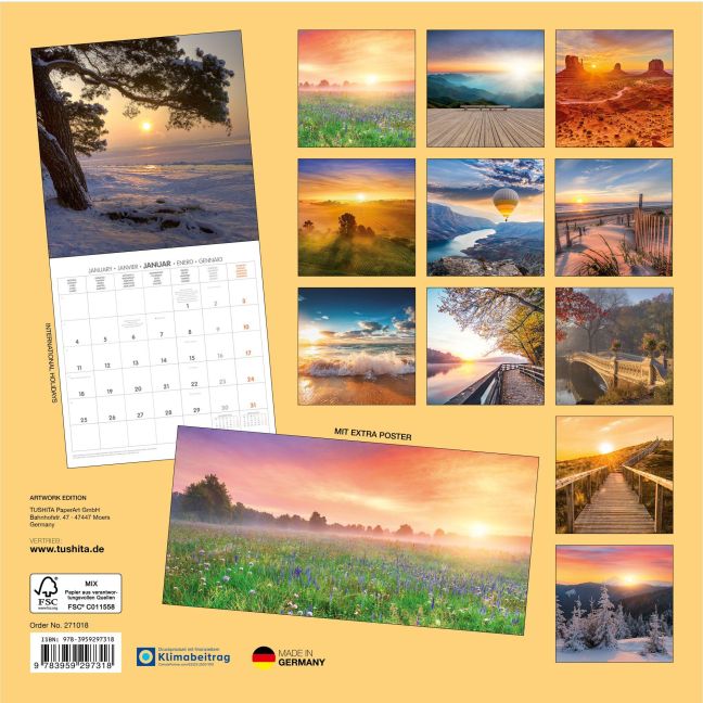 InsideView 13
