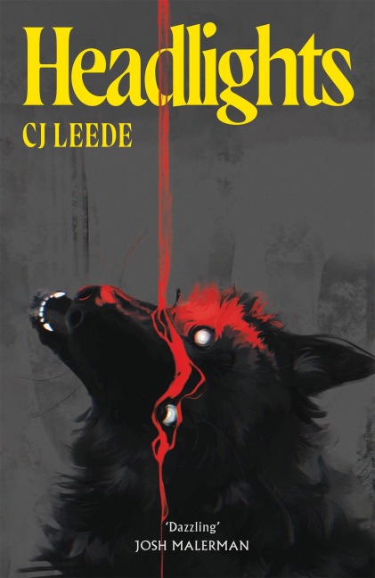 Headlights - Cj Leede