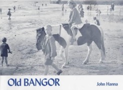 Cover-Bild zum Titel 'Old Bangor' von 'John Hanna'