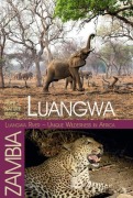 Cover-Bild zum Titel 'Luangwa River - Unique Wilderness in Africa' von 'Ilona Hupe'