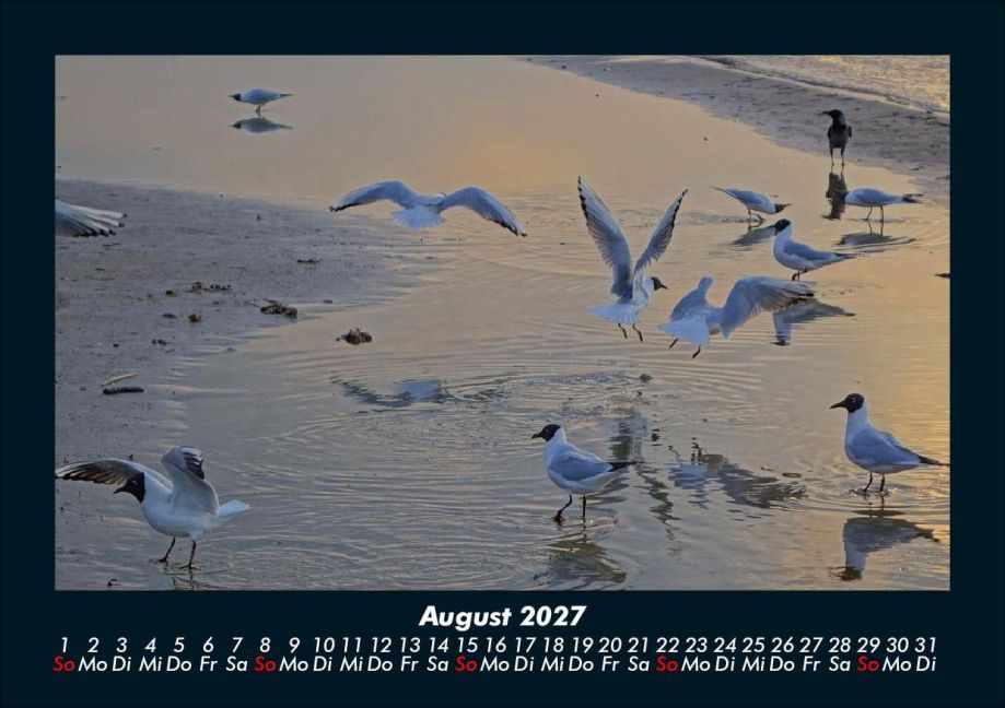 InsideView 12