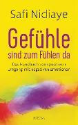 Cover-Bild zum Titel 'Gefühle sind zum Fühlen da' von 'Safi Nidiaye'