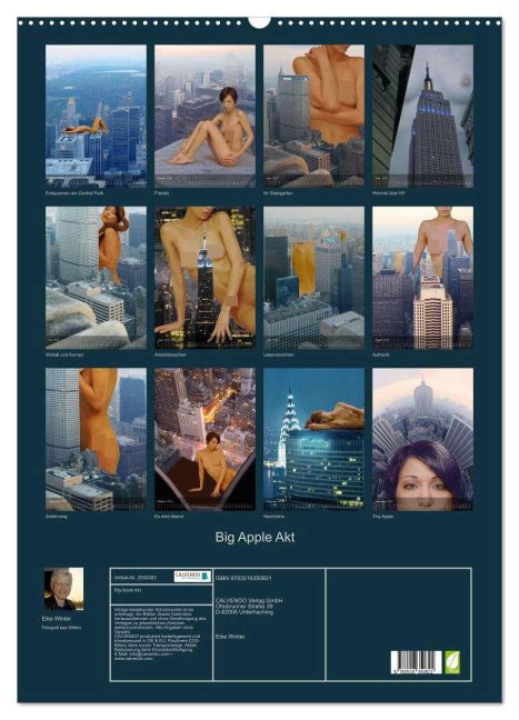 InsideView 5